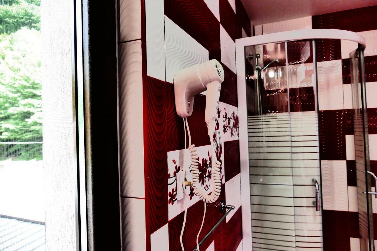 Pensiunea Roua Florilor Hotel Anina Bagian luar foto