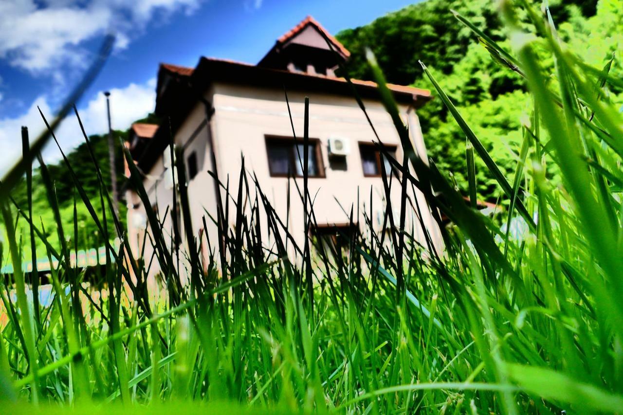 Pensiunea Roua Florilor Hotel Anina Bagian luar foto