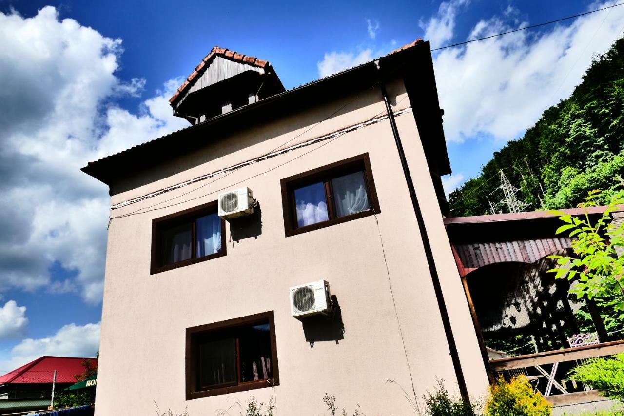 Pensiunea Roua Florilor Hotel Anina Bagian luar foto