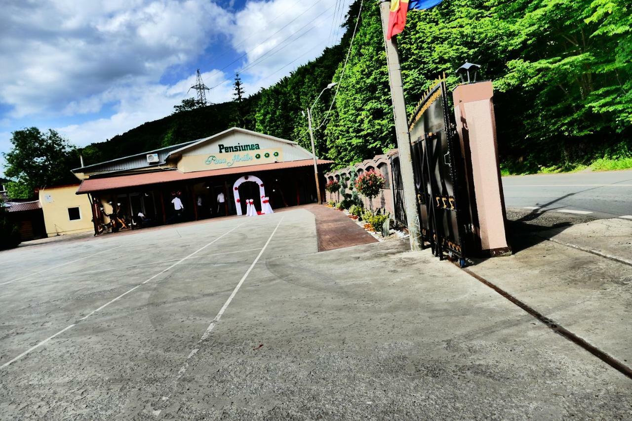 Pensiunea Roua Florilor Hotel Anina Bagian luar foto