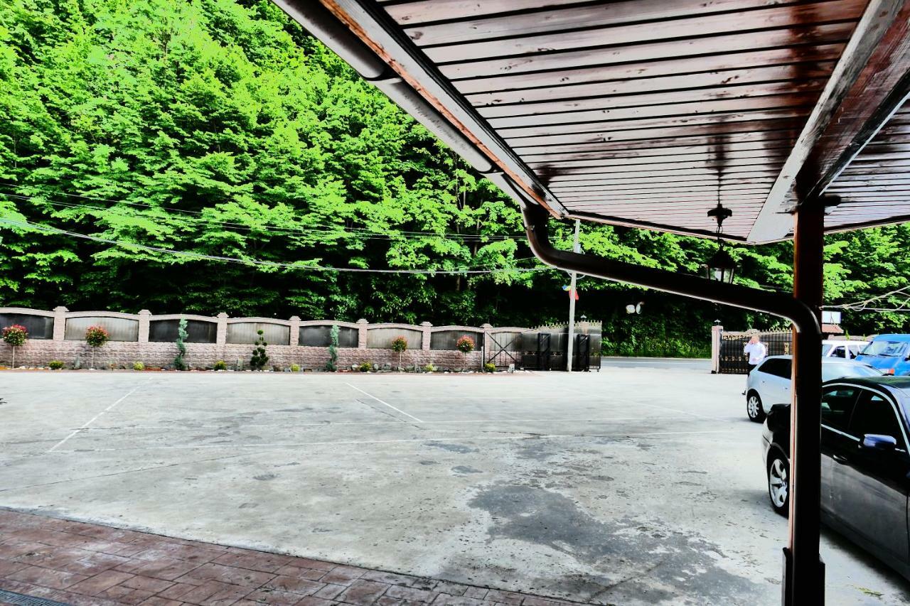 Pensiunea Roua Florilor Hotel Anina Bagian luar foto