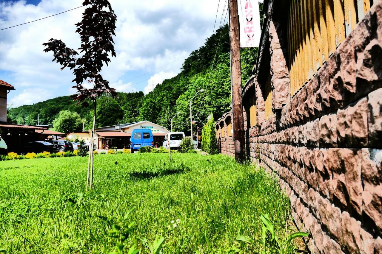 Pensiunea Roua Florilor Hotel Anina Bagian luar foto