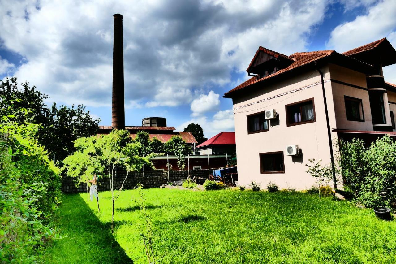 Pensiunea Roua Florilor Hotel Anina Bagian luar foto