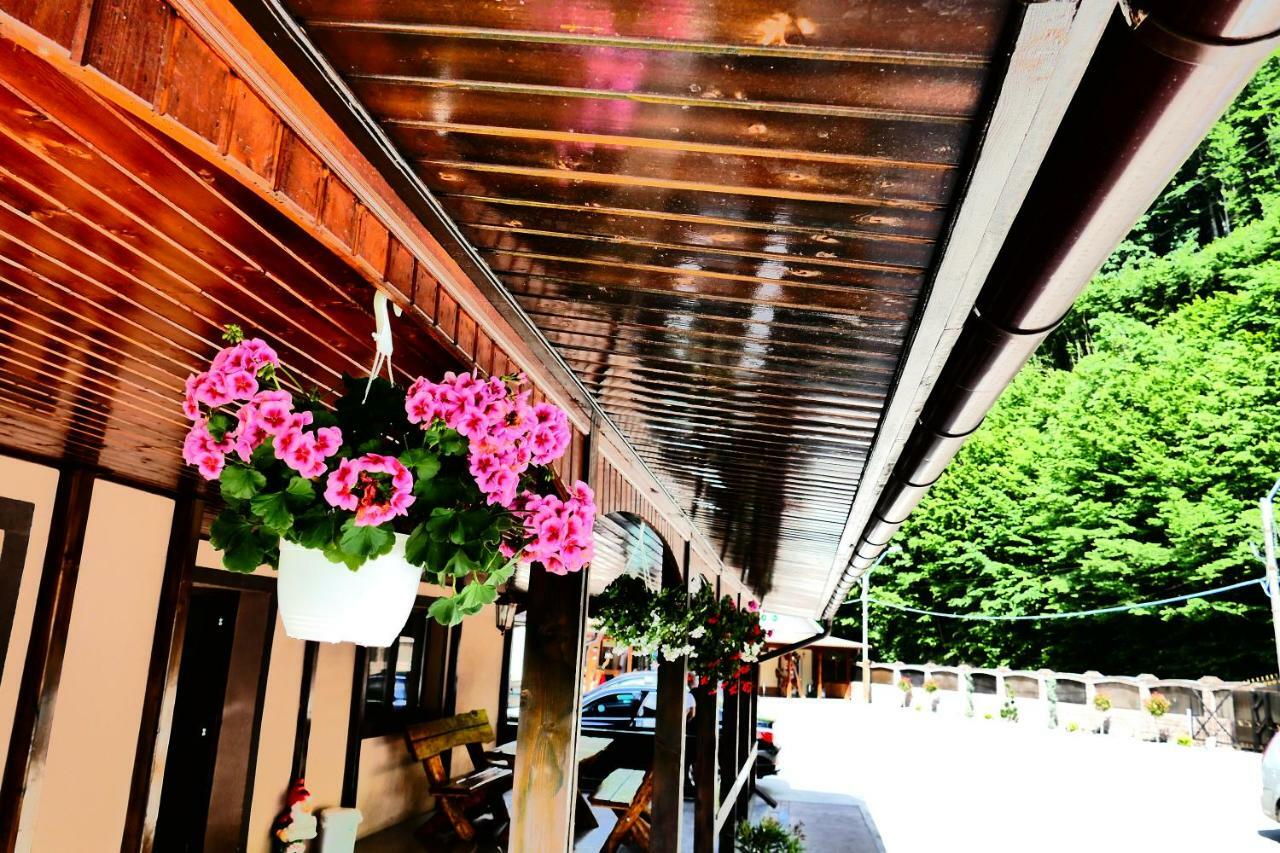 Pensiunea Roua Florilor Hotel Anina Bagian luar foto