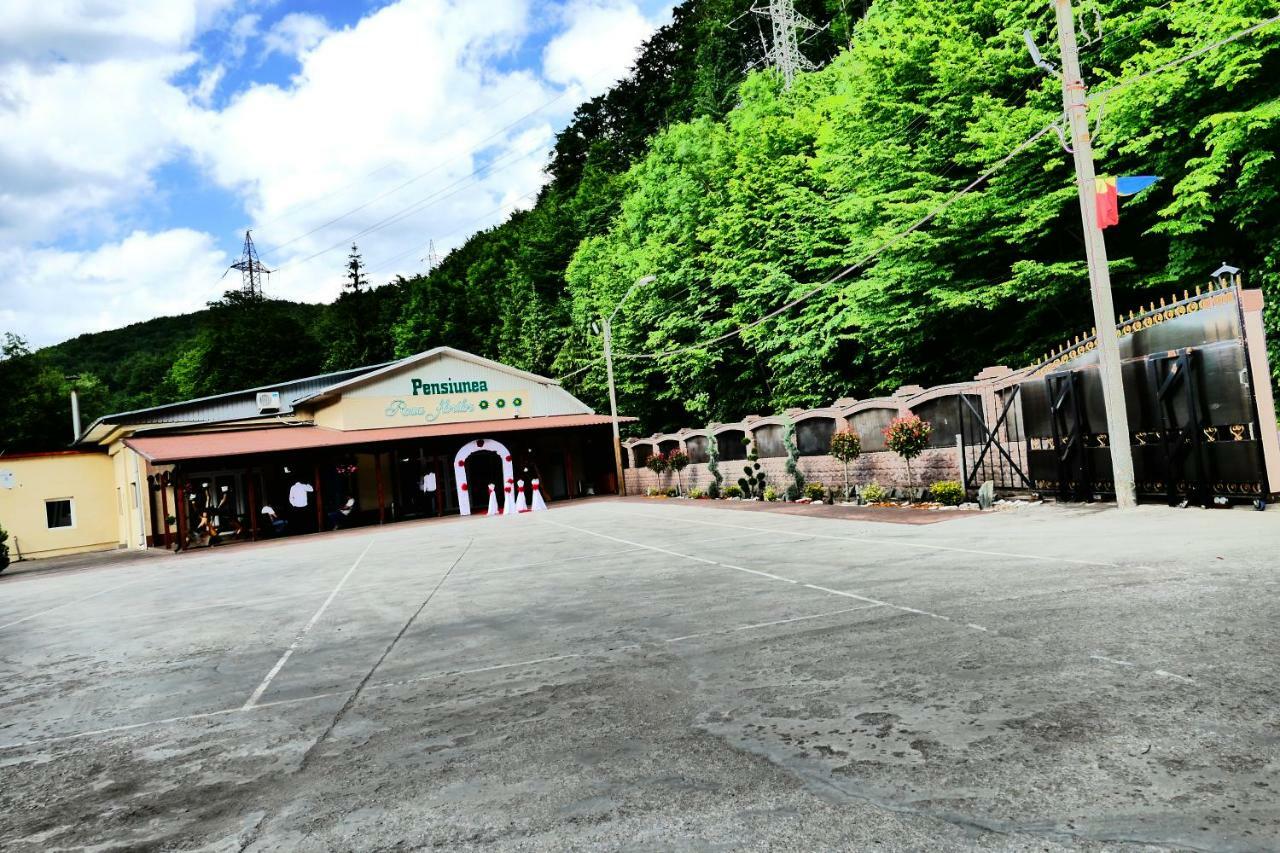 Pensiunea Roua Florilor Hotel Anina Bagian luar foto