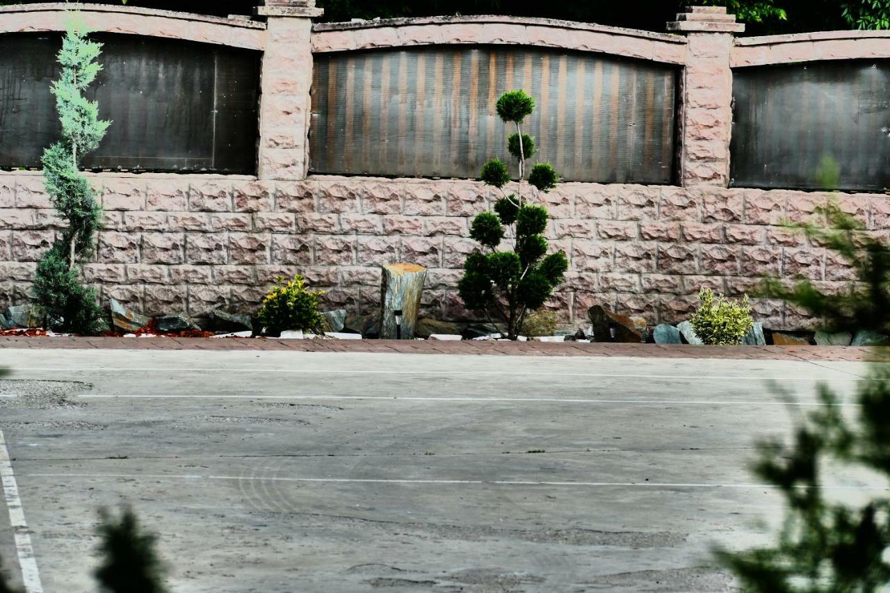 Pensiunea Roua Florilor Hotel Anina Bagian luar foto