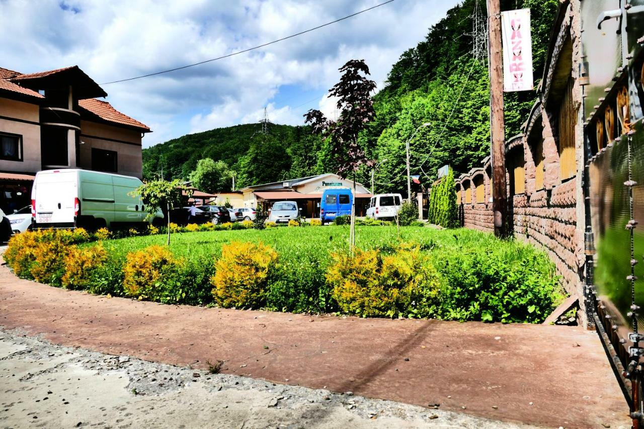 Pensiunea Roua Florilor Hotel Anina Bagian luar foto