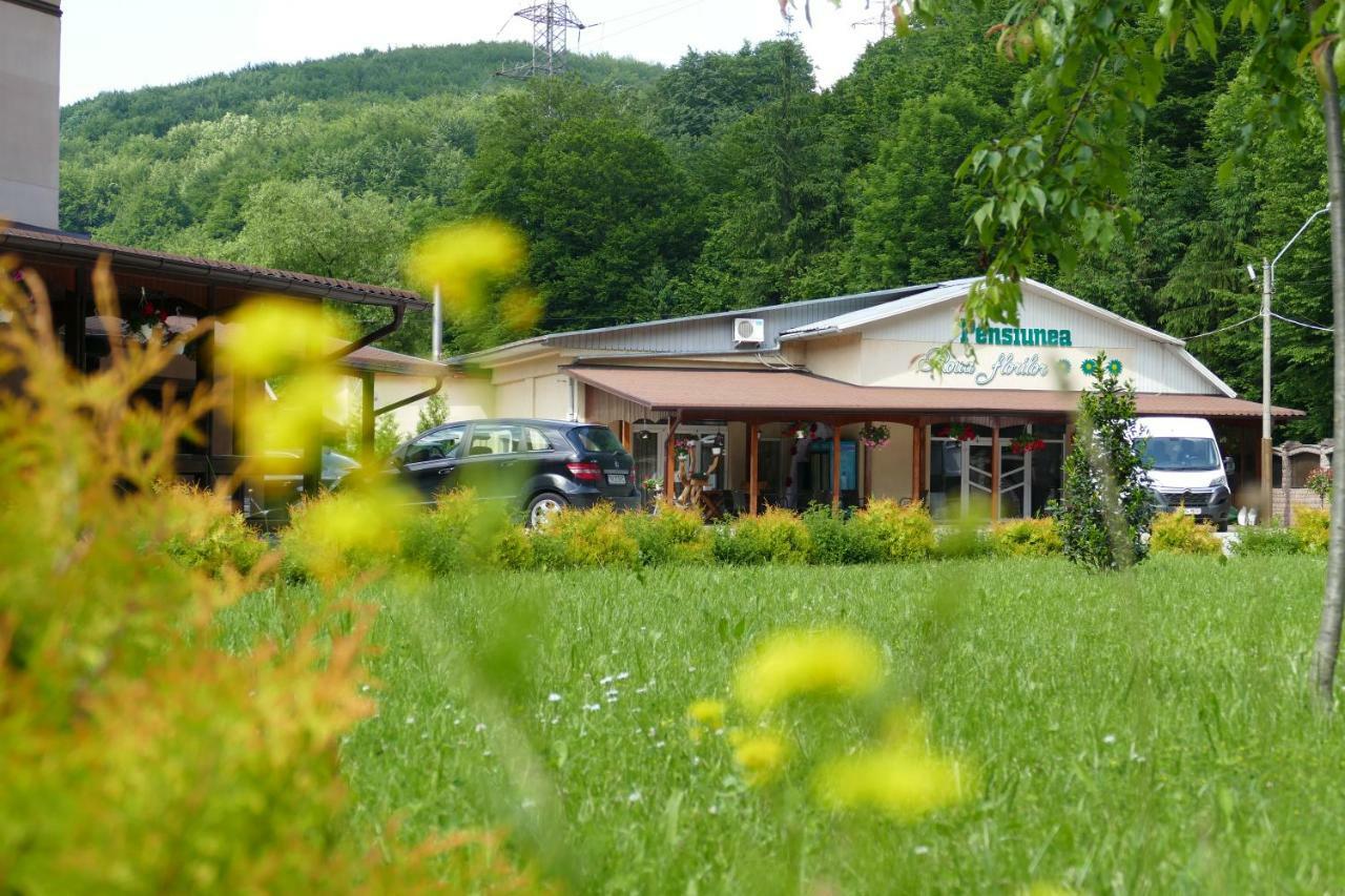 Pensiunea Roua Florilor Hotel Anina Bagian luar foto
